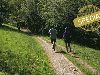 Service: Adressen, Nummern & mehr