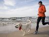 Auf den Hund gekommen