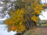 Naturtrip zum Pleschinger See 