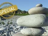 Durch Gleichgewicht zum Idealgewicht 