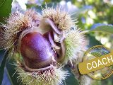 Keine Lust auf Weihnachtsfrust!? 